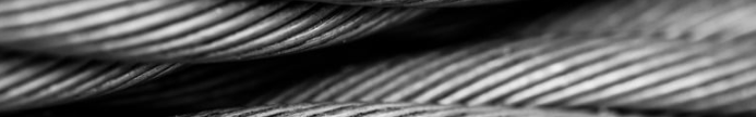 wire rope